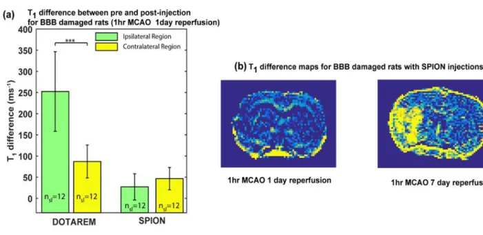 Figure 5. ΔT 1 maps after DOTAREM or SPION injection. Comparison ΔT 1 values between  contralateral and ipsilateral region (a)