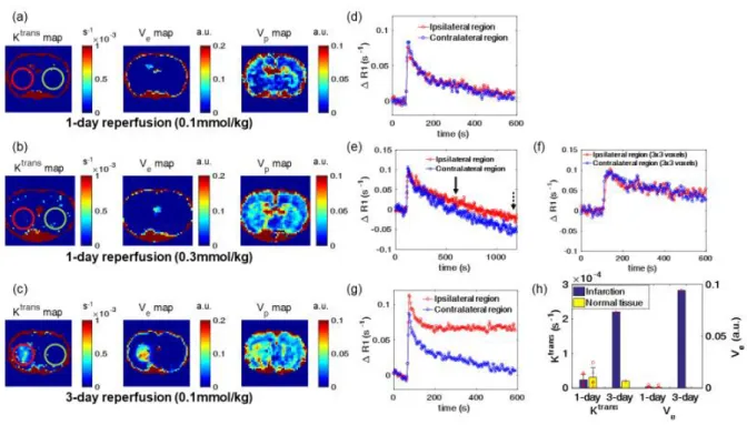 Figure 9. Perfusion maps of DCE-MRI for tMCAO rat