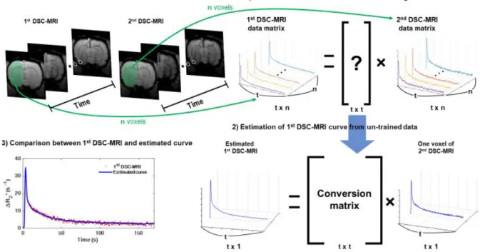 Figure 16. The process of estimating 1 st DSC-MRI curve from 2 nd DSC-MRI curve.