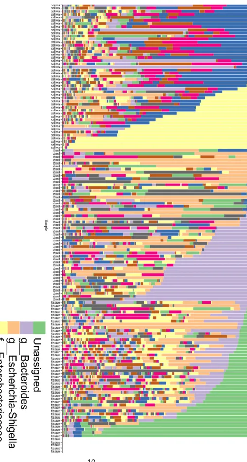 Figure 3: Taxonomy bar plot of microbiome in saliva, tissue, and stool of CD patients 