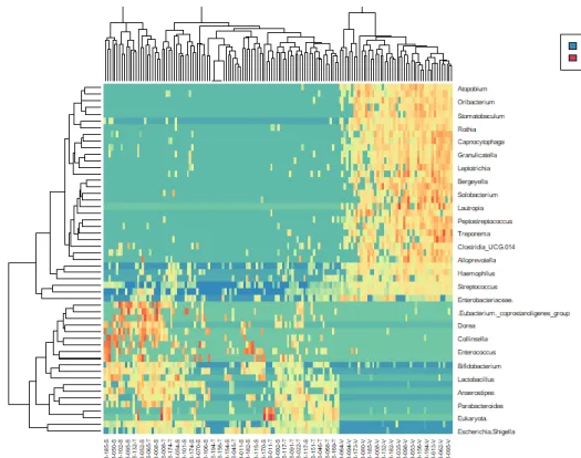 Figure 5: Heatmap of microbiome cluster in saliva, tissue, and stool of CD patients 