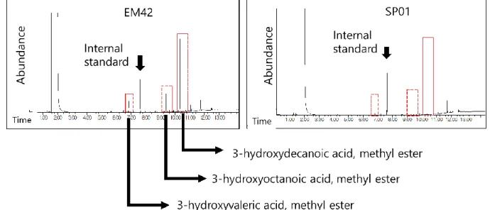 Fig. 5 GC-MS profile of mcl-PHA produced from P. putida 