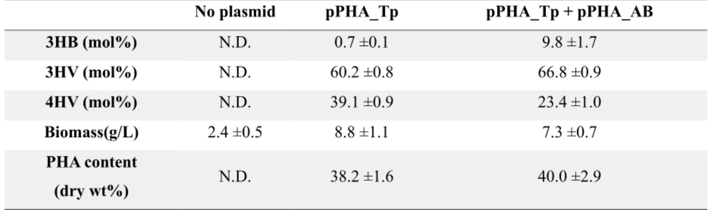 Table 2. CDW, and PHA content (%) and composition by strain SP01 with plasmid pPHA_Tp and  pPHA_AB 