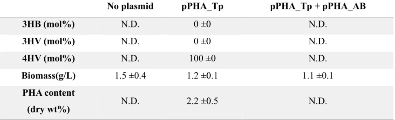 Table 3. CDW, and PHA content (%) and composition by strain SP02 with plasmid pPHA_Tp and  pPHA_AB 