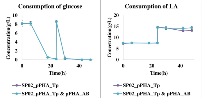 Fig. 8 Consumption of glucose and LA during PHA production in SP02 