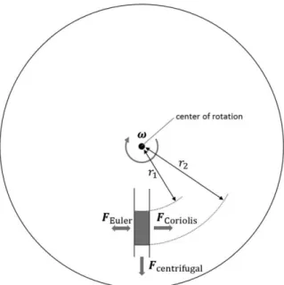 Figure 1.2. Forces acting on fluids within a spinning object. The centrifugal force acts radially  outward  from  the  center,  the  Coriolis  force  acts  perpendicular  to  both  the  direction  of  angular  velocity  of  a  spinning  object  and  fluid 