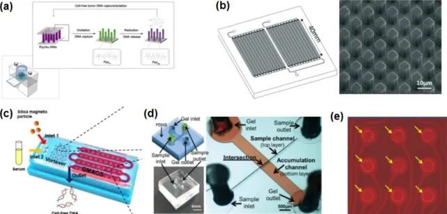 Figure 1.10. Cell-free DNA purification on a lab-on-a-chip system. (a) Nanowire consisting of  electroactive conducting polymer captures and releases the circulating cfDNA by the electrostatic  interaction of negatively charged DNA and the conductive polym
