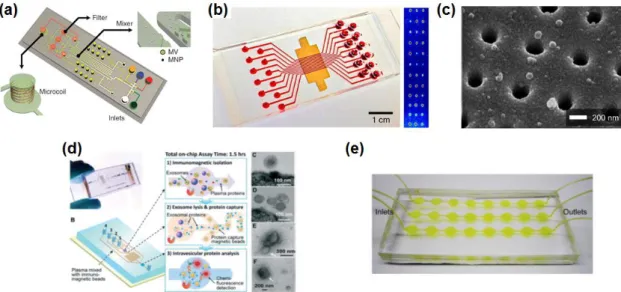 Figure 1.11. Immunoaffinity-based EV isolation on a microfluidic device. (a) Enlarged size of  magnetic beads-decorated microvesicle could be isolated by size-difference-based filtration prior to  on-chip NMR detection, 14  (b-c) immunoaffinity-based EV is