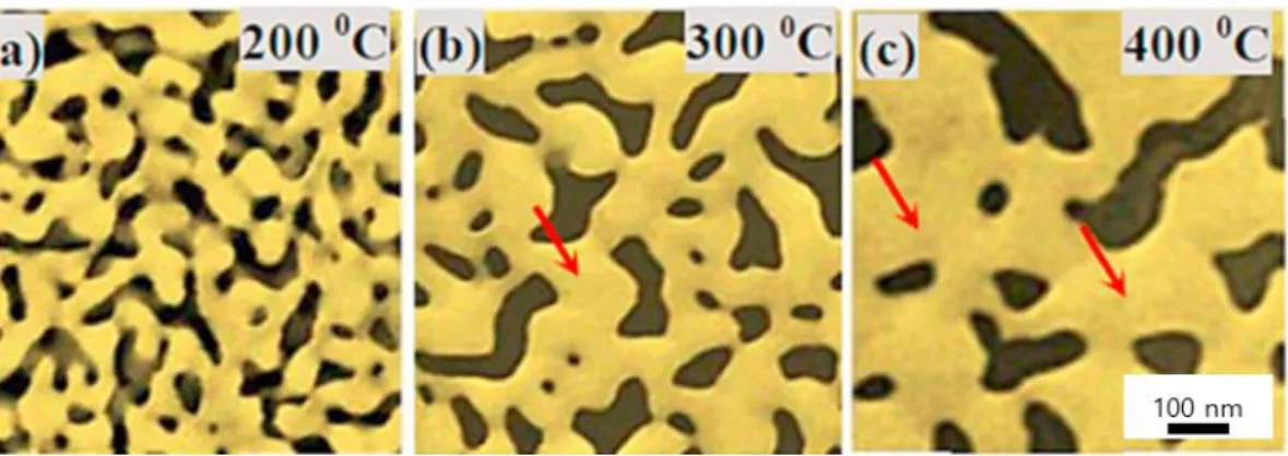 Figure 1.4. SEM image of NPG from Au-Mg alloy. Dealloyed by acetic acid 
