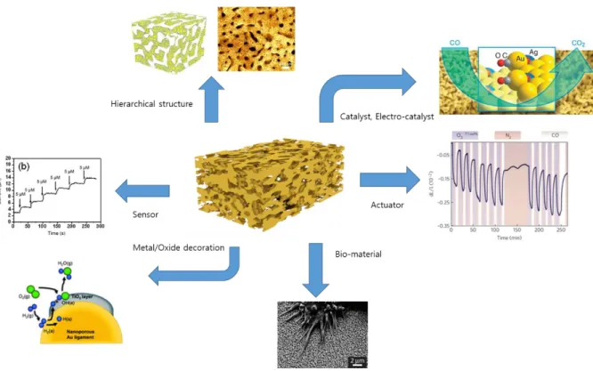 Figure 1.8. NPG: A versatile material. Various applications of NPG including hierarchical structure,  catalyst 21 , bio material 22 , actuator 23 , etc