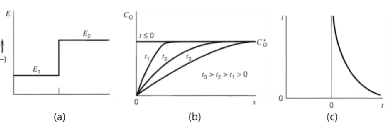 Figure 1.14. (a) Potential change during the chrono amperometry. (b) Concentration difference for  various time during the reaction