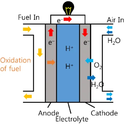 Figure 5.1. Schematic diagram of fuel cell 