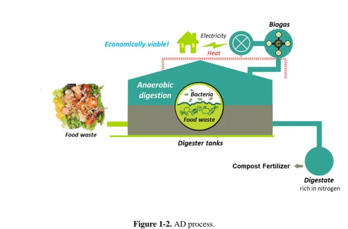 Figure 1-2. AD process. 