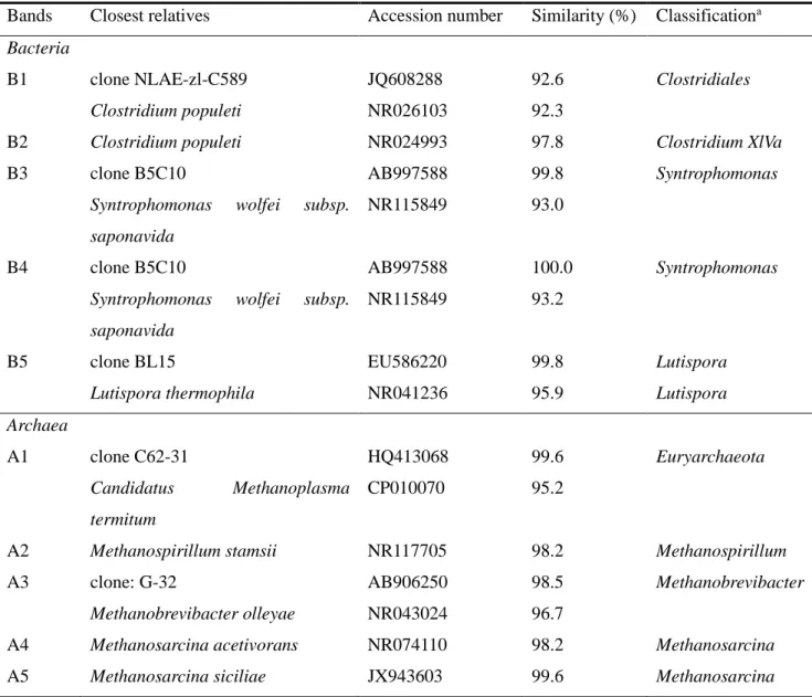 Table 2-5. Phylogenetic affiliation of the 16S rRNA gene sequences from DGGE bands. 