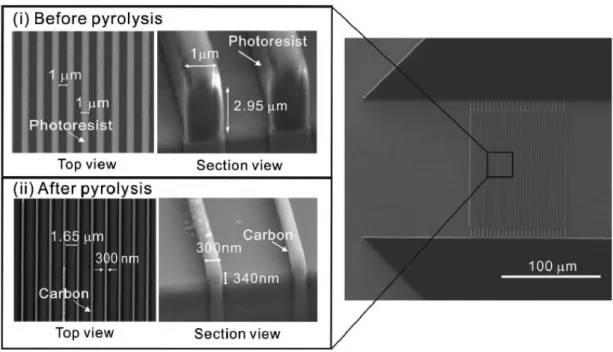 Figure  10.  Image  of  polymer  and  pyrolyzed  interdigitated  array  electrode  (IDA)  by  scanning  electron  microscopy (SEM)