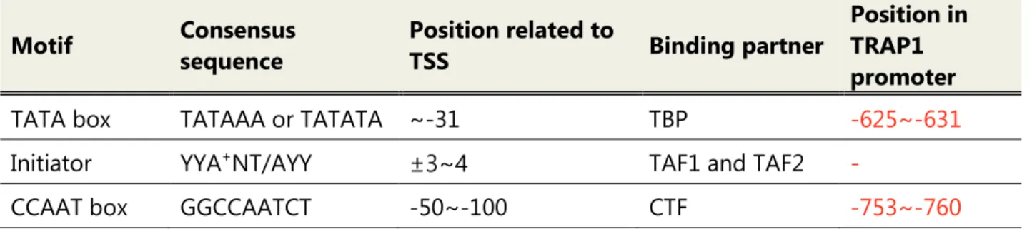 Table 2. Core promoter elements in TRAP1 promoter  Motif  Consensus 