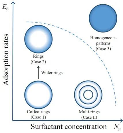 Figure 2.5: Schematic regime map for the dried patterns varying the initial surfactant number and the adsorption rate.