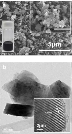Figure  2.3  (a)  SEM  images  of  OLO  nanopowders,  wherein  an  inset  is  a  photograph  showing  that  the  good  dispersion  state  of  OLO  nanopowders  in  the  solution  after  being  stored  at  5  h