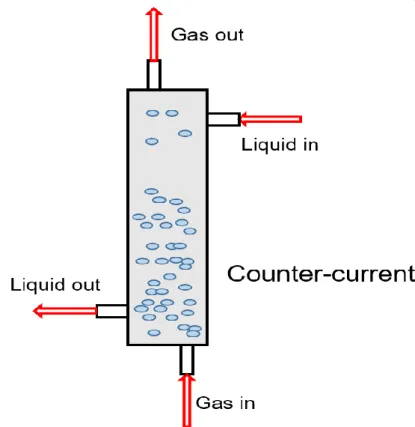 Fig. 2 Gas absorption process schematic diagram [21] 