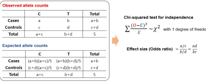 Figure 1.1. SNP association test using Chi-squared test and effect size evaluation.   