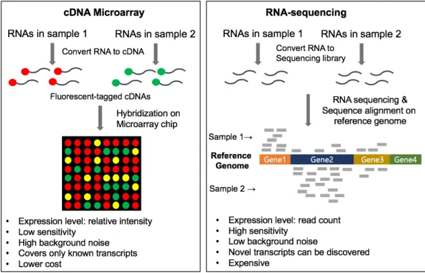 Figure 1.2. Comparison of cDNA microarray and RNA-sequencing  1.1.2.2  Issues in RNA-sequencing data analysis 