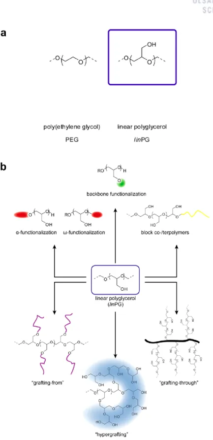 Figure 1. (a) Chemical structures of PEG and linear PG. (b) Available topological variety based on  linear  PG  building  blocks
