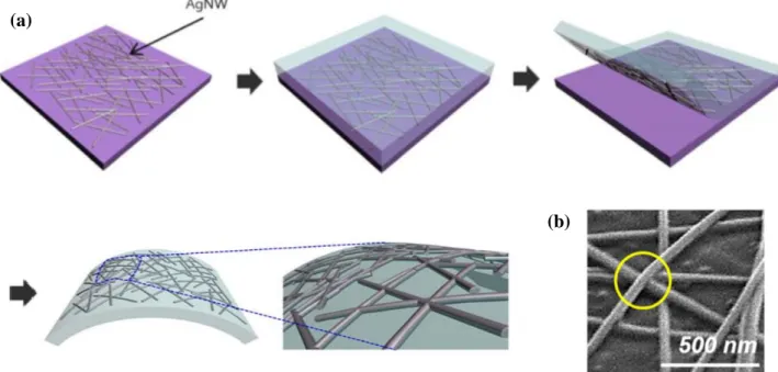 Figure 3-2. (a) Schematic illustration of the AgNWs layer manufacturing process. (b) The SEM image of  the AgNWs