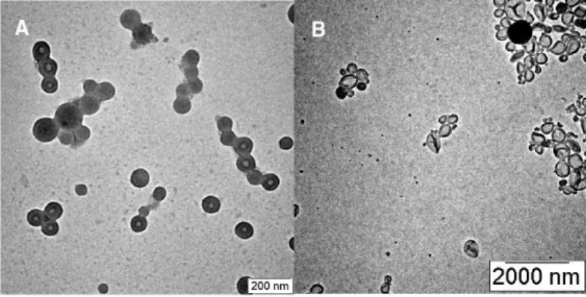 Figure 2-4. TEM images of vesicles of PEG 68 -P S153  prepared from (A) THF and (B) dioxane