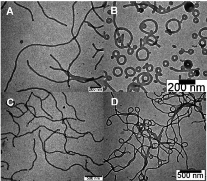 Figure 2-3. TEM images obtained from dried micelle solutions of dendritic-linear block copolymers