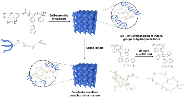Figure 3-1. A scheme of branched-linear block copolymers containing polystyrene hydrophobic blocks  with indene pendant groups and their self-assembly toward complex inverse bicontinuous bilayers