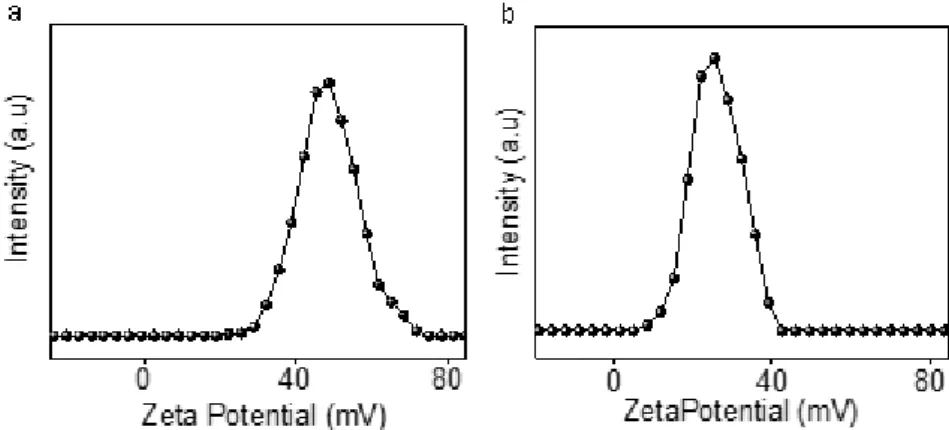 Figure 2-10. Surface charge analysis of Mito peptide fibers. (a) Mito-FF, (b) Mito-GG