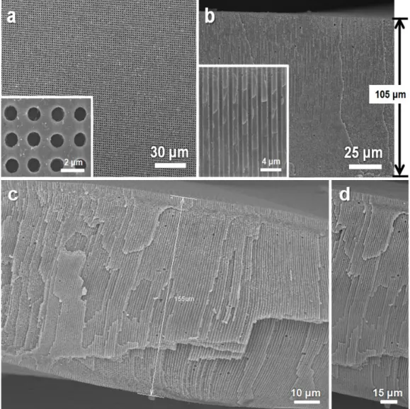 Fig.  7  Scanning  electron  microscopy  (SEM)  images  of  square  patterned  PGP  structures  with  the  thickness of 105  μm