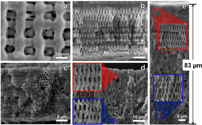 Fig. 8 SEM images of the holographic patterned submicron structures with various thicknesses