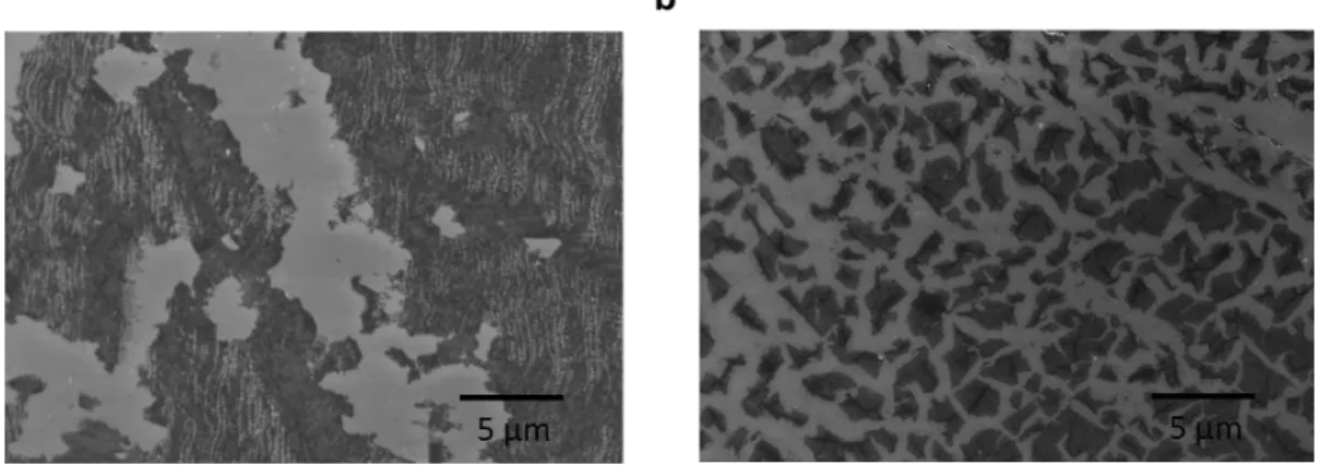 Figure 6. (a) SEM image of the N-doped graphene without stabilization process. (b) SEM image of  the N-doped graphene growth at vacuum during the stabilization process