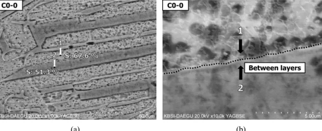 Figure 4-7: Microstructures of Mixture C0-0 in BSE images with EDS analyses for thin-sectioned  and polished samples: (a) 1000×, (b) 10000×
