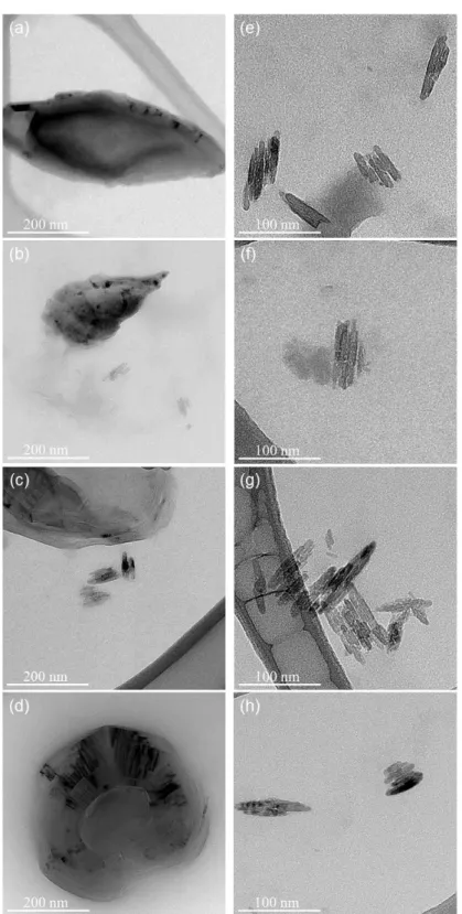 Figure 2.1 High resolution  Transmission  Electron micrographs (HR-TEM) of D-cCNC and S-cCNC; 