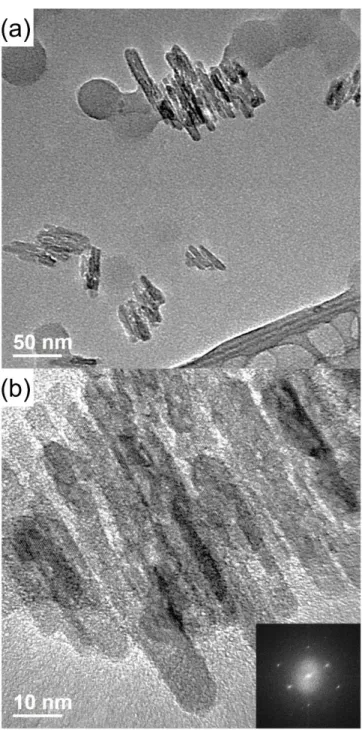 Figure 3.1 HR-TEM images of (a) pristine  CNC and (b) high  magnification  of pristine  CNC