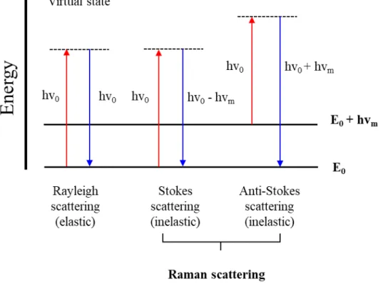 Figure 2-3 Schematic of energy diagram of Raman spectroscopy 
