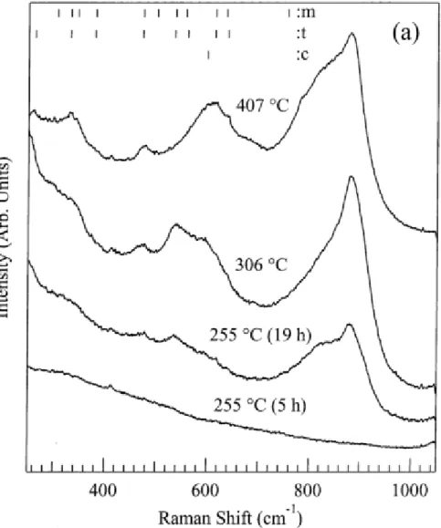 Figure 2-4 In-situ Raman spectra of zirconium alloy heated to 407 ℃ in aqueous solution [2] 