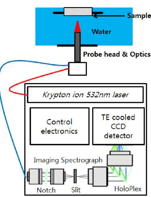 Figure 3-6 Schematic of in-situ Raman spectroscopic system with the autoclave and sample