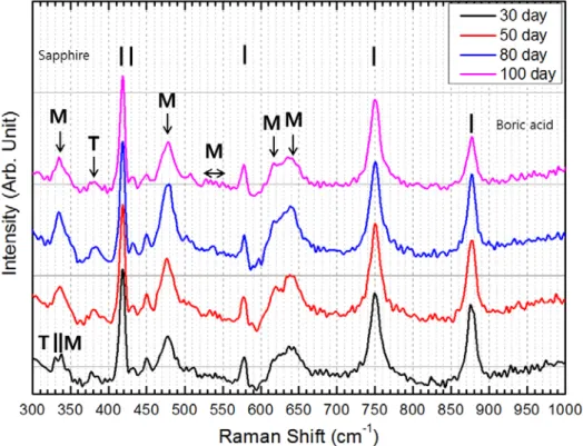 Figure 4-1 In situ Raman spectroscopy results of oxidized Zr-Nb-Sn alloy after different  oxidation time at 2.49 mg/kg DH [61] 