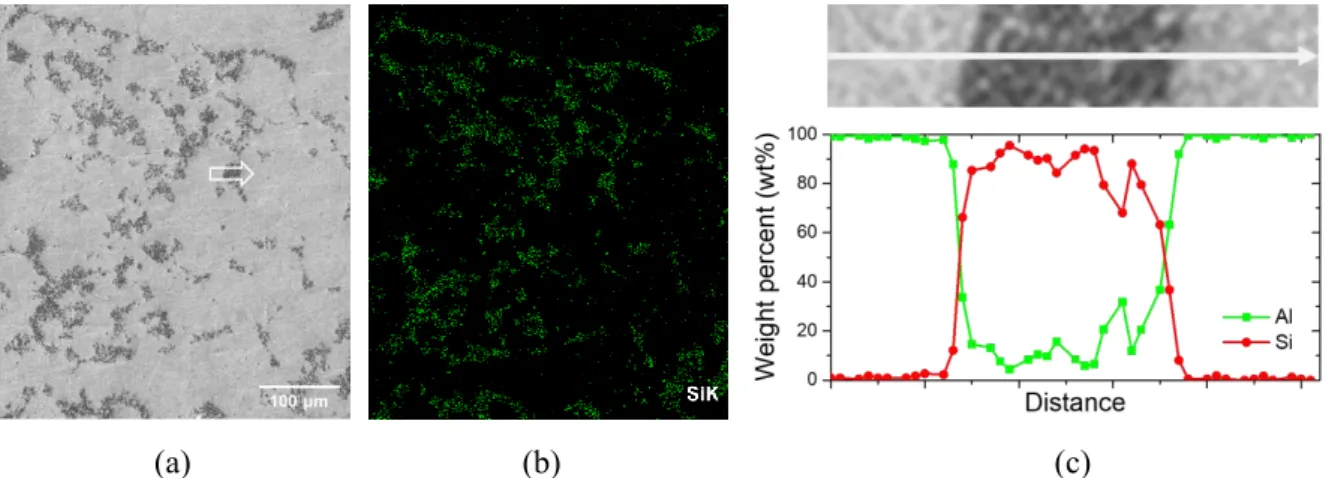 Figure 17. Elemental analysis of a sintered Al-Si matrix: (a) original SEM image, (b) EDS analysis 