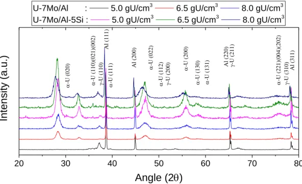 Figure 19. XRD results of as-fabricated samples with different uranium densities. 
