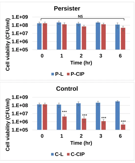 Figure 3.1.1 Cell viability of rifampin-induced persister under prolonged antibiotic exposure    Cell viability under prolonged antibiotic (ciprofloxacin 5 μg/ml) exposure of rifampin-induced (100  μg/ml,  1h)  persisters