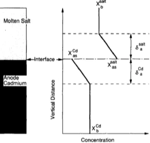 Figure 7. Diffusion layer model for the Cd anode [22]. 