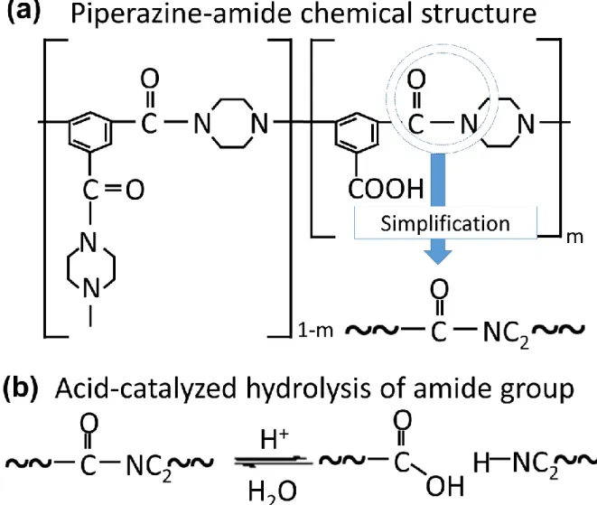 Figure 5.1 Schematic diagram of (a) piperazine-amide chemical structure and (b) acid-catalyzed  hydrolysis reaction of the amide group.