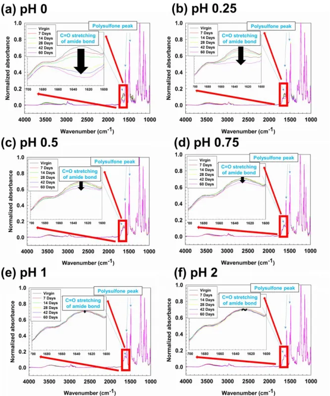 Figure  5.2  ATR-FTIR  spectra  of  semi-aromatic  NE70  virgin  and  post-treated  polyamide  membranes under (a) pH 0, (b) pH 0.25, (c) pH 0.5, (d) pH 0.75, (e) pH 1, and (f) pH 2 conditions  with characteristic bands from 1000 cm -1  to 4000 cm -1  rela