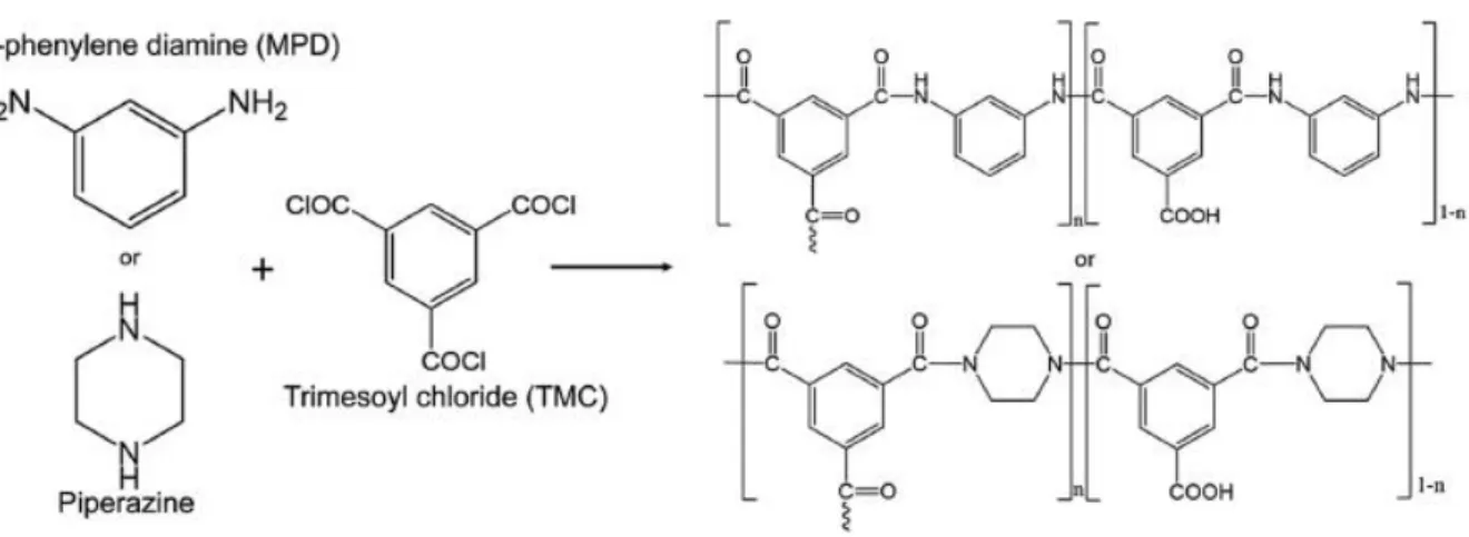 Figure 1.1 The reaction scheme and procedure most commonly used for TFC NF membranes [10]