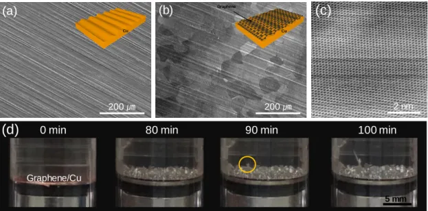 Figure 1.6 Top-view SEM image of (a) pristine Cu and (c) graphene covered Cu current collectors