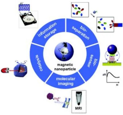 Fig. 1.1. The various applications of magnetic nanoparticles. 
